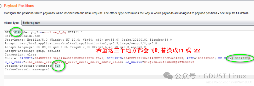Linux Lesson 5: Web Security Vulnerabilities