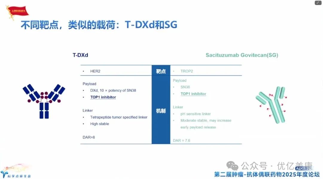 Exploring Solutions to ADC Drug Resistance