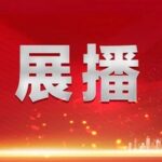 Innovative Case of Party Building: Strengthening Project Supervision through Embedded Oversight