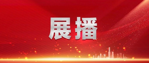 Innovative Case of Party Building: Strengthening Project Supervision through Embedded Oversight