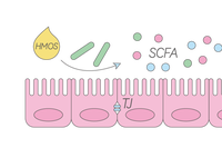 National Health Commission Approves HMOs for Various Infant Formulas: Exploring Nutritional Benefits for Children with Milk Allergy from Breast Milk Oligosaccharide Research