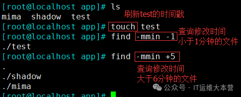 Linux File Search Tools: Locate vs. Find - Which is Your Best Choice?