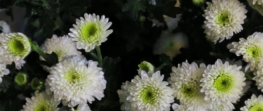 FreeRTOS Task Management