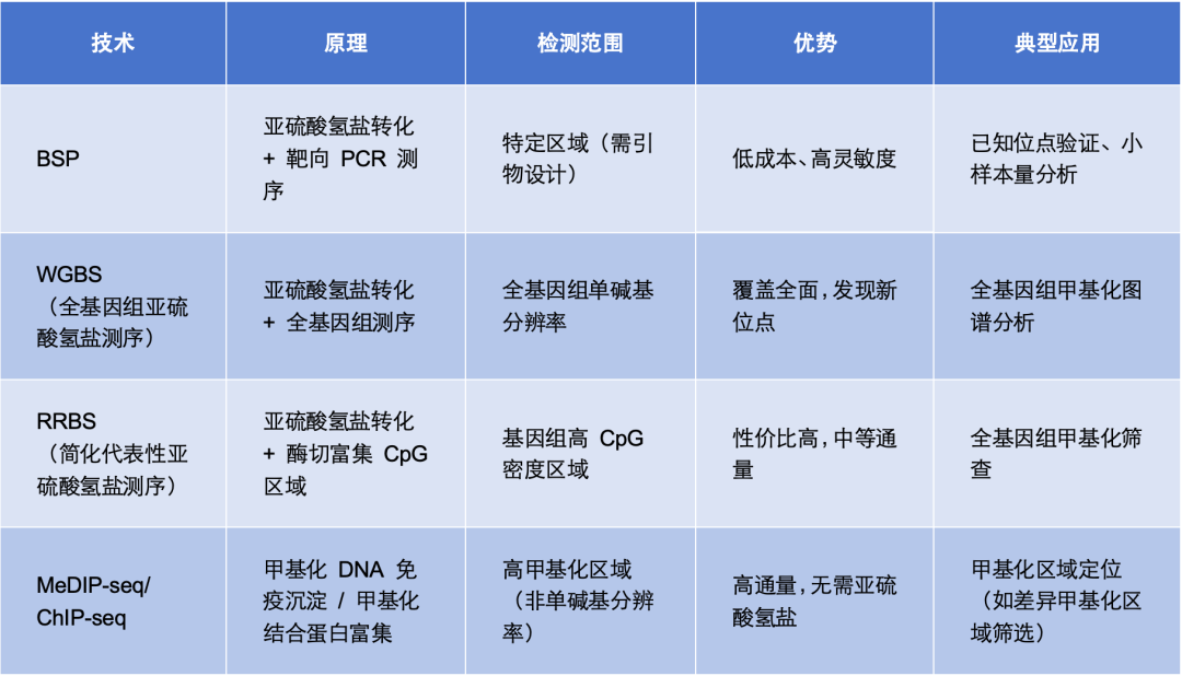 Bisulfite Sequencing (BSP) Technology: Principles, Processes, and Comprehensive Applications