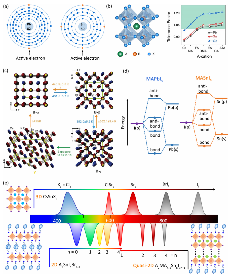 Review by Wang Jianpu & Huang Wei from Nanjing University of Technology: Tin Halide Perovskite Light Emitting Diodes