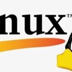 Several Methods to Force Overwrite with the cp Command in Linux Without Prompting