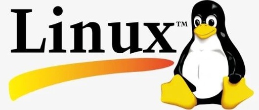 Several Methods to Force Overwrite with the cp Command in Linux Without Prompting