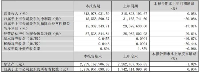 Summary of Q1 2025 Financial Reports from 20 Display Chip Companies Including Weir Shares, Allwinner Technology, and Rockchip