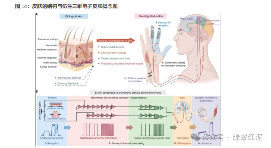 Empowering Robots Through Communication: Thriving in the AI Wave and the Expanding Industry Chain