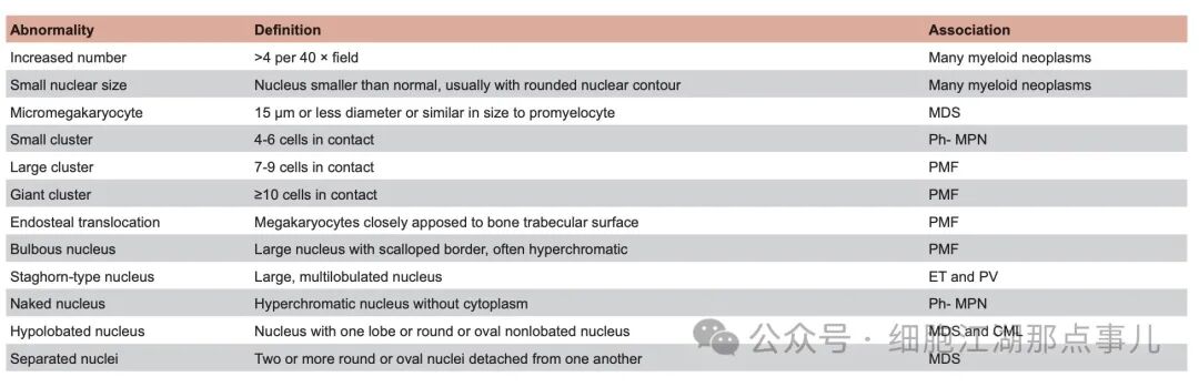 Evaluation of Morphology in Myeloid Neoplasms: ICC Series Part Three