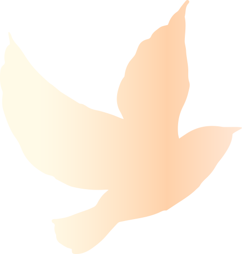 Summary of Practical Backup Strategies for Linux System Operations