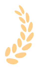 Party Building Leads to Collective Strength, Scientific Innovation Empowers Development