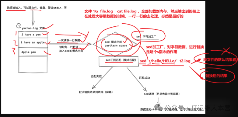 Essential Linux Commands: The Three Musketeers - sed