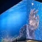 Understanding the Differences Between LED and LCD Screens