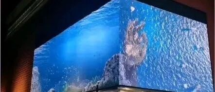 Understanding the Differences Between LED and LCD Screens