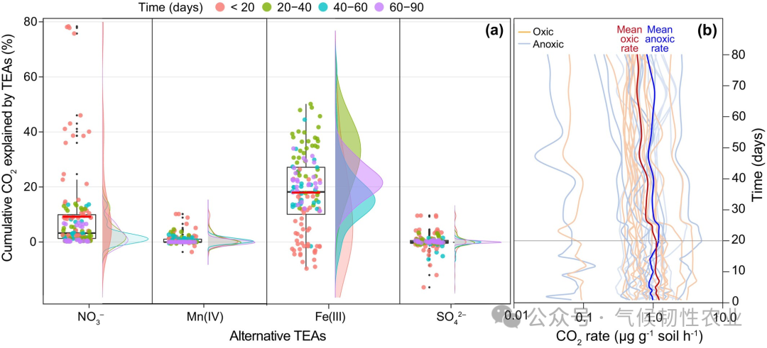 Does Periodic Hypoxia Accelerate SOC Decomposition in Soil?