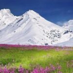 Weir Shares Research Summary: H Company's Own CIS is Fabricated at Huali and Wuhan Xinxin, Solving Their Supply Chain Issues Without External Sales