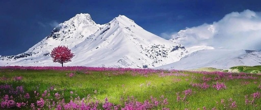 Weir Shares Research Summary: H Company's Own CIS is Fabricated at Huali and Wuhan Xinxin, Solving Their Supply Chain Issues Without External Sales