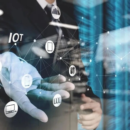 The Rise of Domestic Forces in the Internet of Things