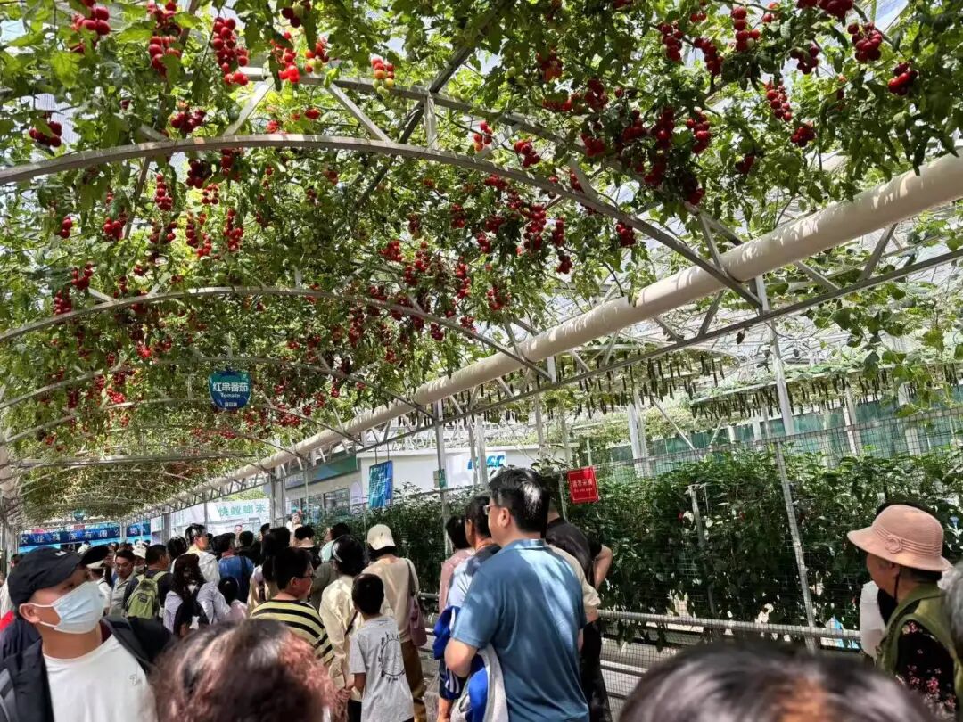 Robots as 'Farmers'! This Future Farm is Truly Impressive