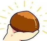 Introduction to Boeing Product Standards - PSDS