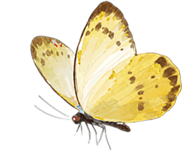 Soldering Techniques for Bluetooth Speakers | One-Stop Service Center