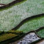 Memory Allocators in FreeRTOS: heap1 to heap5 (Part 3)