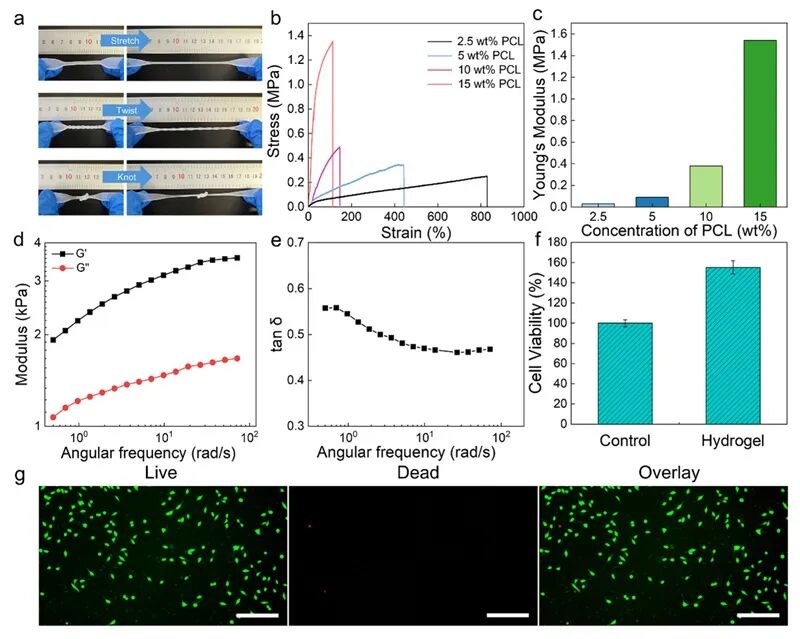 Multimodal Microfluidic 3D Printing Achieves Low-Temperature Polymerization of Hydrogels