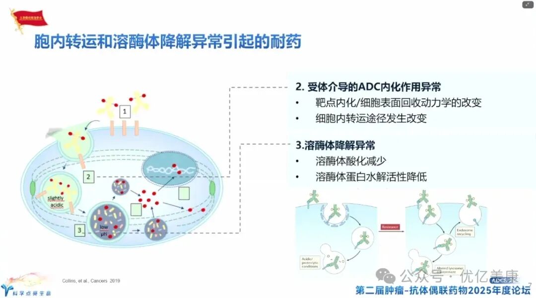 Exploring Solutions to ADC Drug Resistance