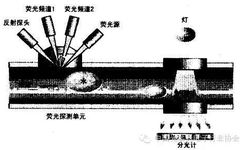 Detailed Description of Fiber Optic Sensing Technology and Applications
