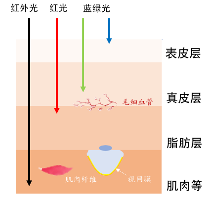 Optical Biosensors: From Fingerprint Recognition to Electronic Skin