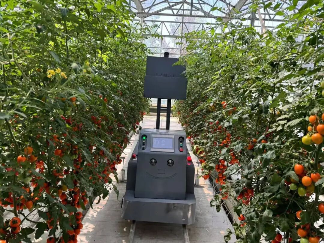 Robots as 'Farmers'! This Future Farm is Truly Impressive