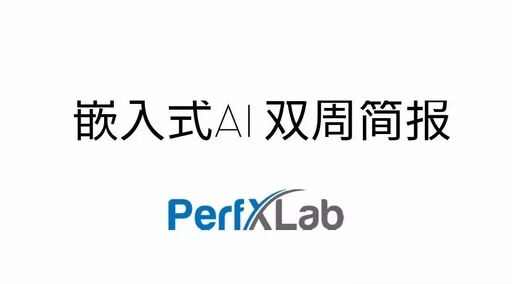 Embedded AI Biweekly Briefing Issue 1