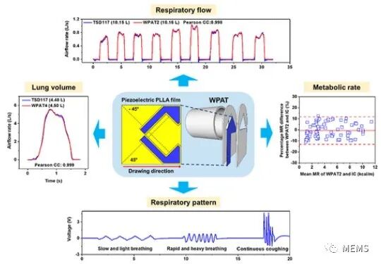 Wearable Piezoelectric Airflow Sensor for Human Respiratory and Metabolic Monitoring