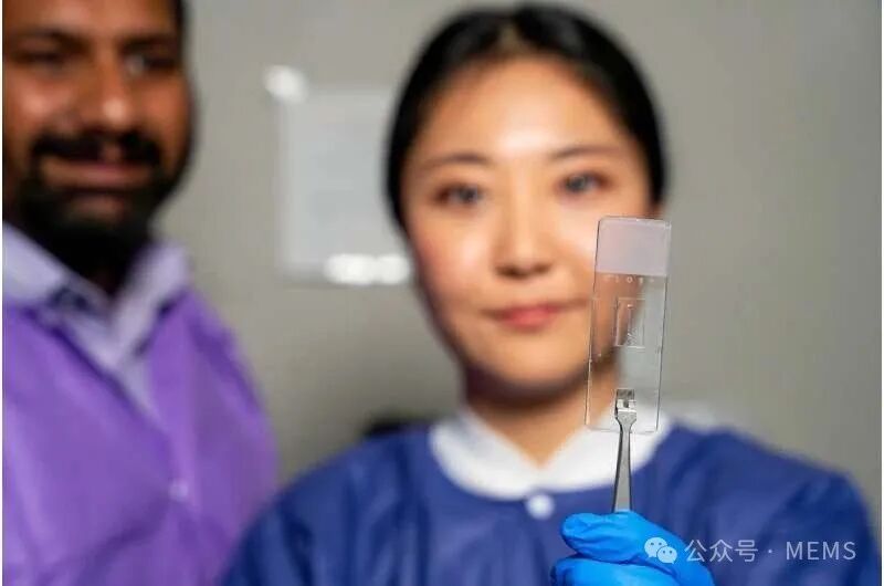 Customized Vascular Chips Simulating Real Vascular Structures to Aid Vascular Disease Research