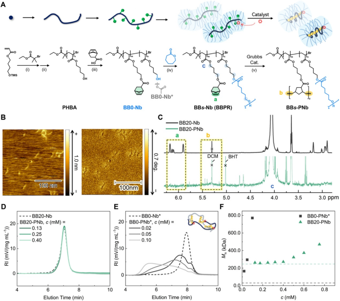 Single-Molecule Reactor Based on the Excluded Volume Effect of Bottlebrush Polymers