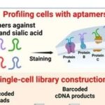 Literature Sharing | J Am Chem Soc: Quantitative Analysis of Single-Cell High-Throughput Multi-Omics Aptomics