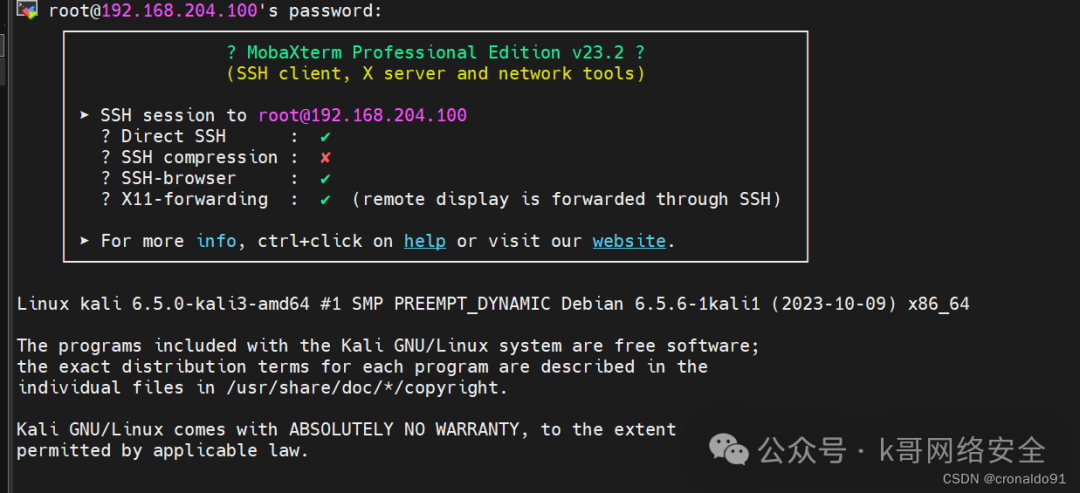 Linux System Administration: Installing Kali Linux on a Virtual Machine