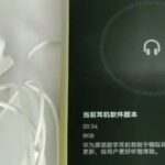 18 Yuan Type-C Wired Earphones with Built-in DAC Chip and OTA Firmware Upgrade