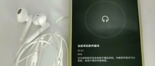 18 Yuan Type-C Wired Earphones with Built-in DAC Chip and OTA Firmware Upgrade
