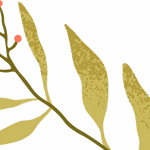 Tracking Academic Frontiers: Reports on CNS Medicine and Biology Publications by Chinese Scholars in 2025