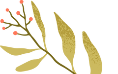 Tracking Academic Frontiers: Reports on CNS Medicine and Biology Publications by Chinese Scholars in 2025