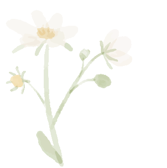 Image Encryption Using SIT: A Lightweight Encryption Algorithm for Secure IoT (Matlab Code Implementation)