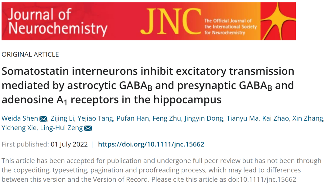 Zeng Linghui's Research Group at the Medical School Reveals the Mechanism by which Somatostatin Interneurons (SOM-INs) Regulate Excitatory Synapses through Astrocytic Purinergic Signaling