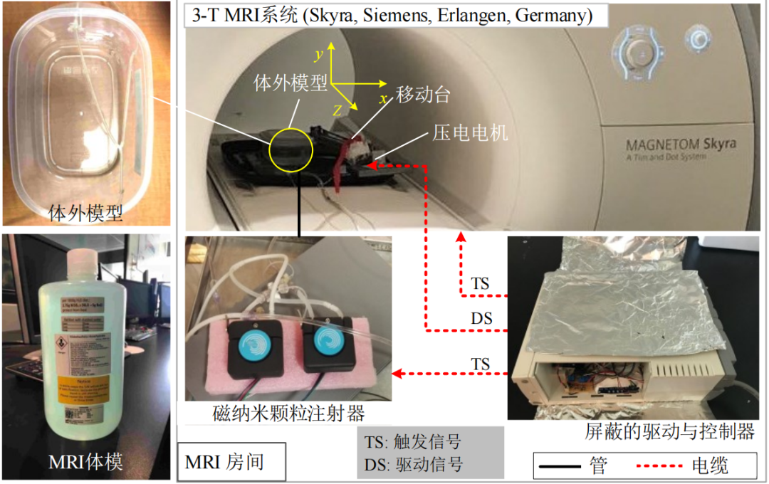 Cutting-Edge Collaboration: Southern Airlines and Montreal Research Team Launch DFN-D System Driven by Piezoelectric Robots for MRI Imaging, Aiming to Address MRI Treatment Challenges!