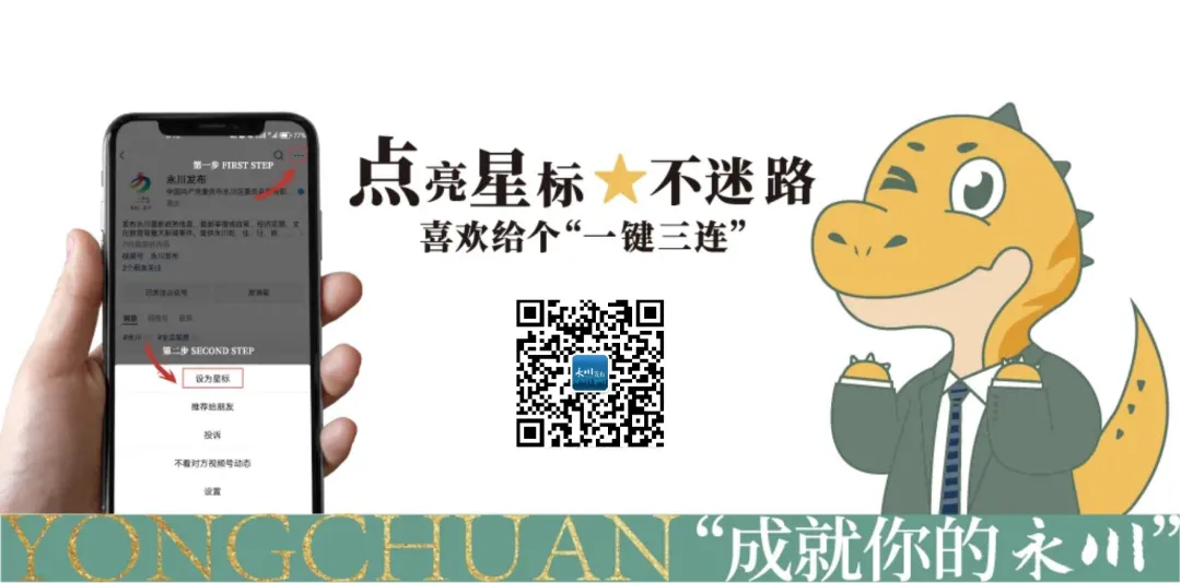 Which is Better: Vitamin C for 2 Yuan or for Hundreds?