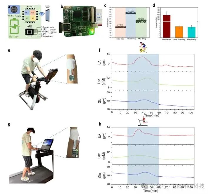 Innovative Bionic Skin Sweat Sensor