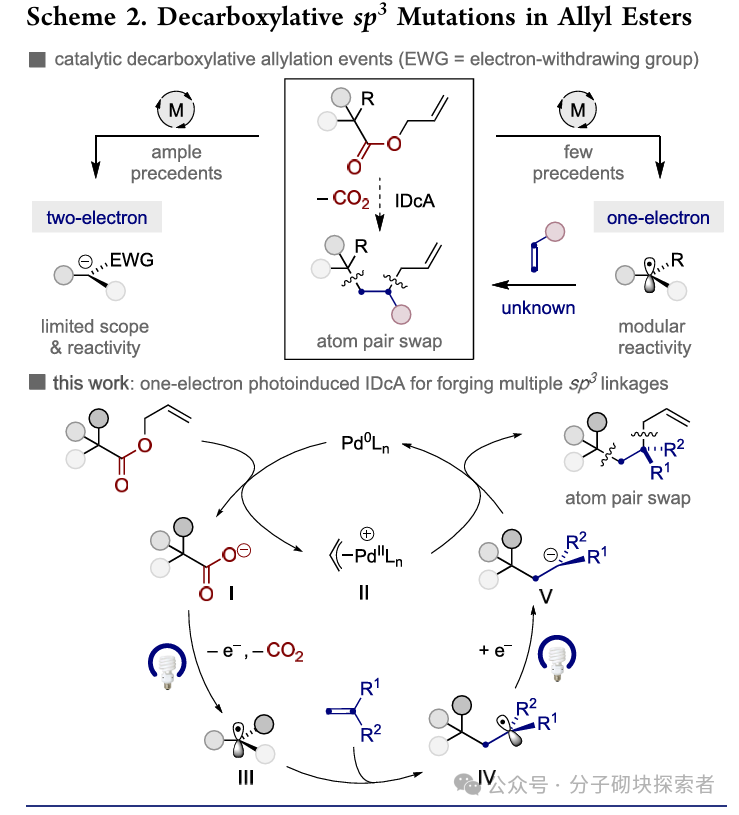 Photoinduced Decarboxylative Allylation: Dual Atom Substitution for sp3 Fragment Skeleton Editing