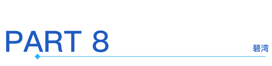 Interpretation of Rockchip (603893) 2024 Annual Report: Significant Growth in Integrated Circuit Revenue Drives Substantial Increase in Company Revenue and Main Business Profit