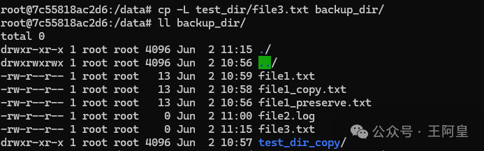 Mastering the Linux File System: The cp Command and Practical Applications 2